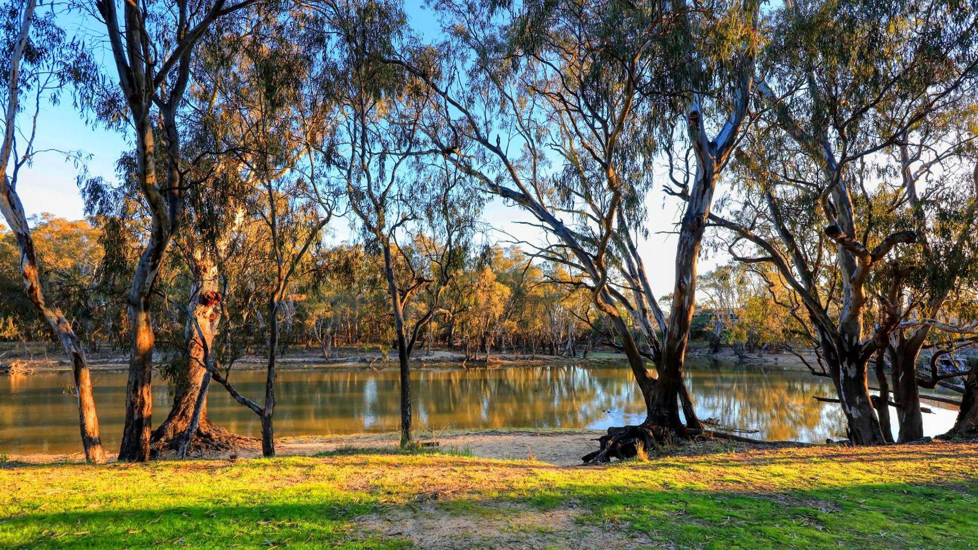 Deniliquin Riverside Caravan Park Exterior photo